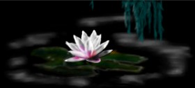 Çhåching の スイレン の絵