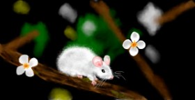 Рисунок на тему «Мышь» — автор: Eclat de Lune