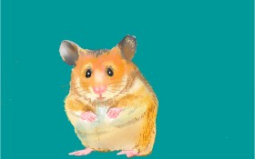 GJP の ハムスター の絵