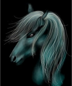 Konj - autor: Luna