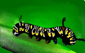 Drawing of Caterpillar by Rose rocket