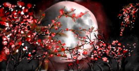 Drawing of Tree by Eclat de Lune