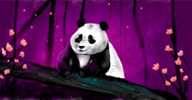 Рисунок на тему «Панда» — автор: Eclat de Lune