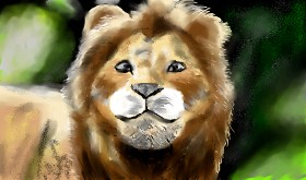 Drawing of Simba (Lion King) by AYAN