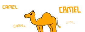 bob の ラクダ の絵