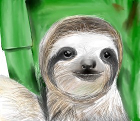 Lou の ナマケモノ の絵