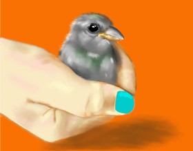 Cec の スズメ の絵