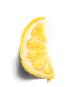 Drawing of Lemon by Sscy