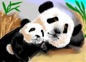 Panda - autor: SAM AKA MARGARET 🙄