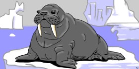 Drawing of Walrus by Swimmer