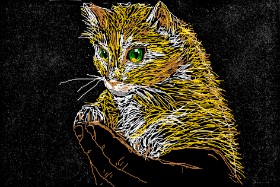 Рисунок на тему «Котенок» — автор: Mad