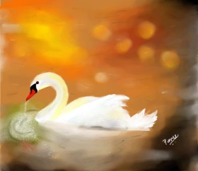 Labud - autor: punee