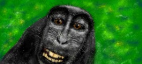 Drawing of Monkey by St4r✨