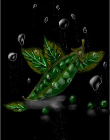 Drawing of Peas by Amanah🥰