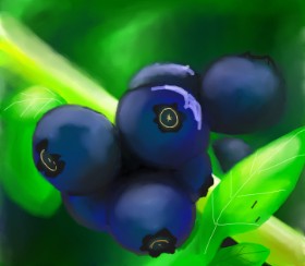 Рисунок на тему «Черника» — автор: Nellie