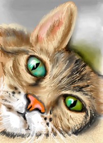 Drawing of Cat by ⋆su⋆vinci彡