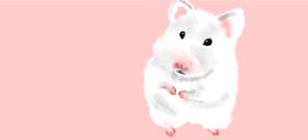 Kim の ハムスター の絵