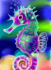 Drawing of Seahorse by ⋆su⋆vinci彡