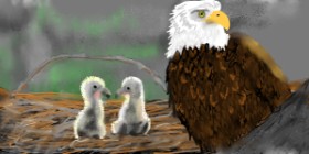 Drawing of Nest by PrettyPixels