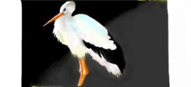 DebbyLee の コウノトリ の絵
