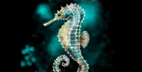 Eclat de Lune の タツノオトシゴ の絵