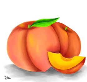 Drawing of Peach by Bishakha