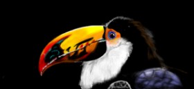 Çhåching の オオハシ の絵