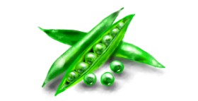 Drawing of Peas by Eclat de Lune