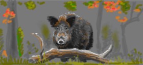 Рисунок на тему «Дикий кабан» — автор: shiNIN