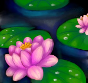 Drawing of Water lily by Bishakha