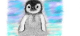 Sara の ペンギン の絵