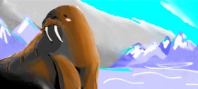 Рисунок на тему «Морж» — автор: ?