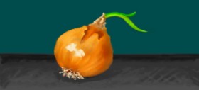 shiNIN の 玉ねぎ の絵