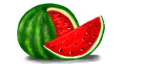Drawing of Watermelon by justme❤️