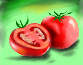 Drawing of Tomato by Freny