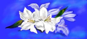 Çhåching の ユリの花 の絵