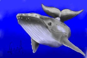 Bibattole の クジラ の絵