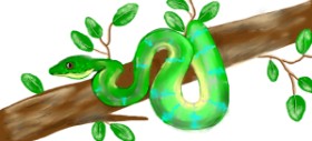 Drawing of Snake by Debidolittle
