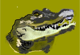 𝐓𝐎𝐏𝑅𝑂𝐴𝐶𝐻™ の アリゲーター の絵