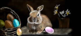Drawing of Bunny by Çhåching