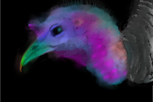 Unknown の 七面鳥 の絵