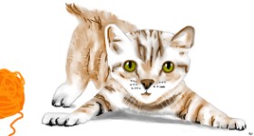 Рисунок на тему «Котенок» — автор: Swimmer 