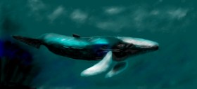 Gillian の クジラ の絵