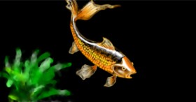 Eclat de Lune の 魚 の絵