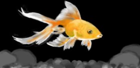 SAM AKA MARGARET 🙄 の 魚 の絵