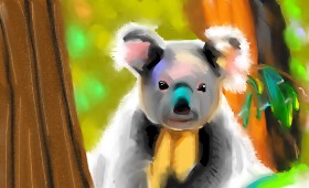 Drawing of Koala by Herbert