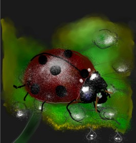 Eclat de Lune の てんとう虫 の絵