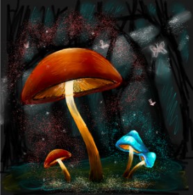 Gljiva - autor: Andromeda