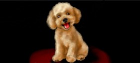 Annie の プードル の絵