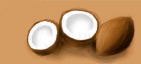 mush の ココナッツ の絵